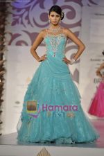Model walks the ramp for Arjun Anjalee Kapoor for Aamby Valley India Bridal Week on 30th Oct 2010 (33).JPG
